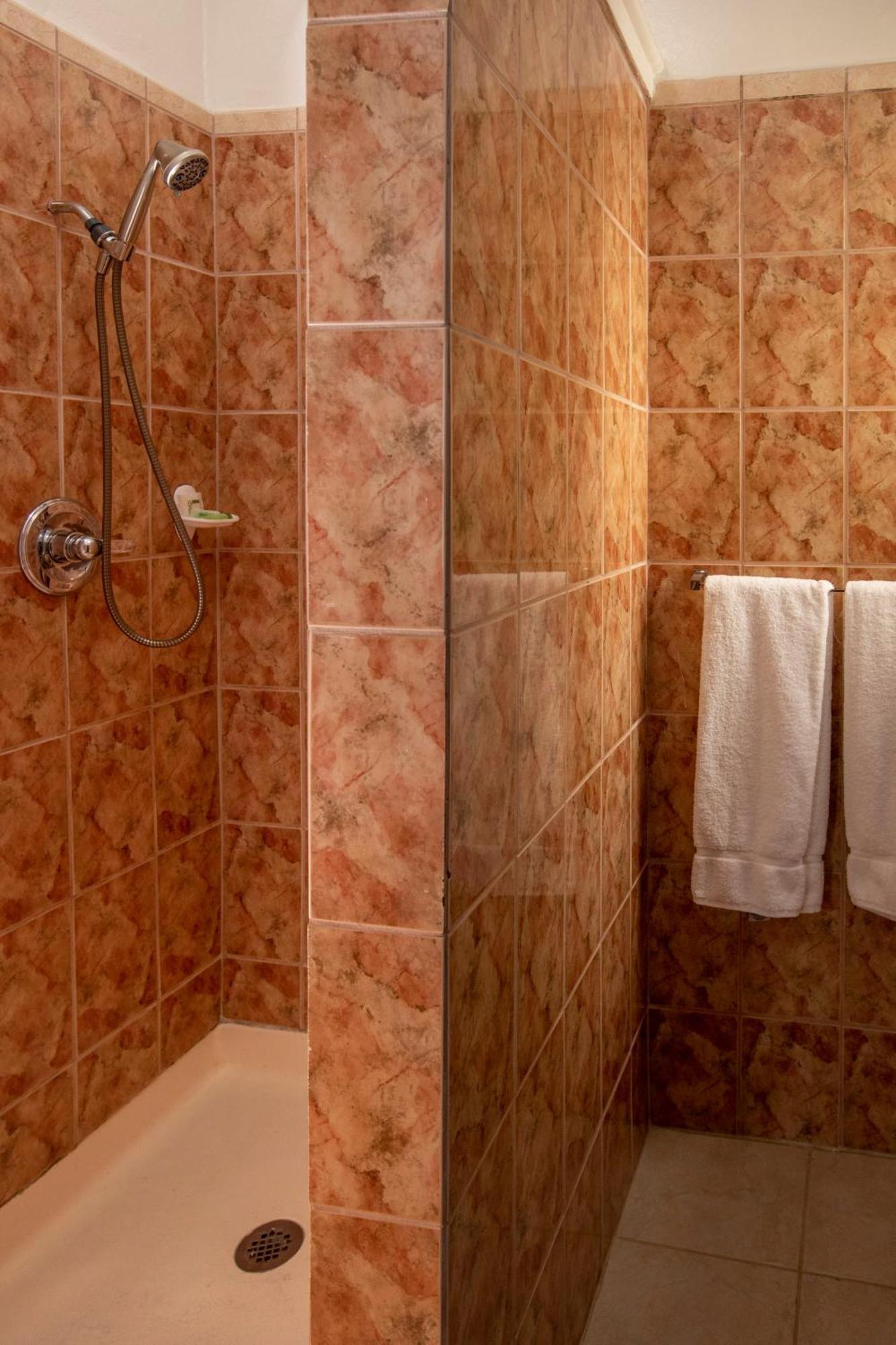 Edwardian Hotel San Francisco Pokój zdjęcie